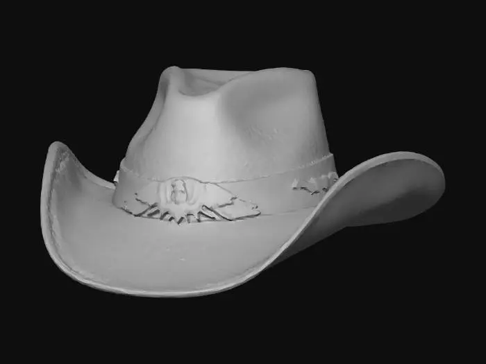 3D model for american hat