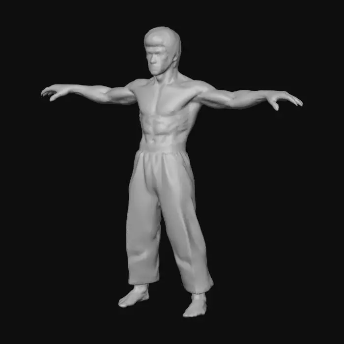 3D model for brucelp