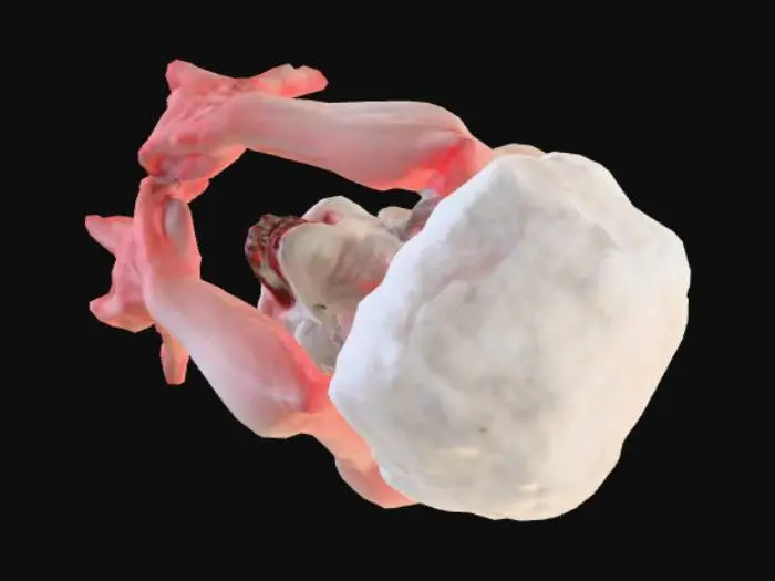 3D model for Fantasma. Horror, detalhes. Mãos bem detalhadas, rosto detalhado. Muito assustador