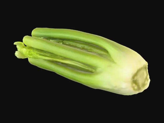 3D model for Celery Stalk
