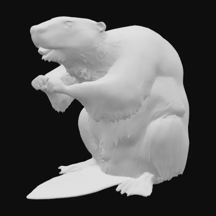 3D model for Beaver's Stance