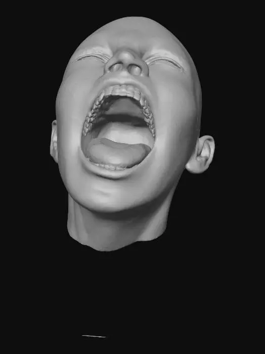 3D model for Fragmented Silence