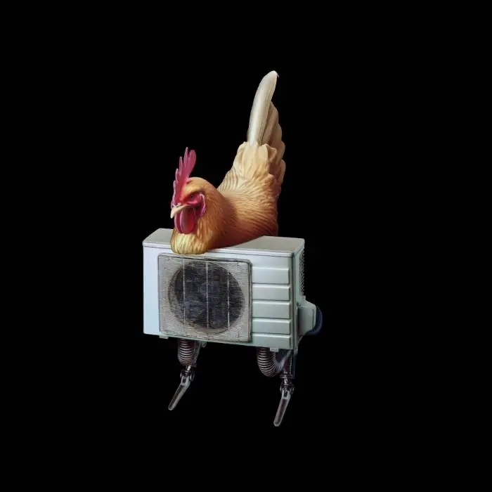 rooster