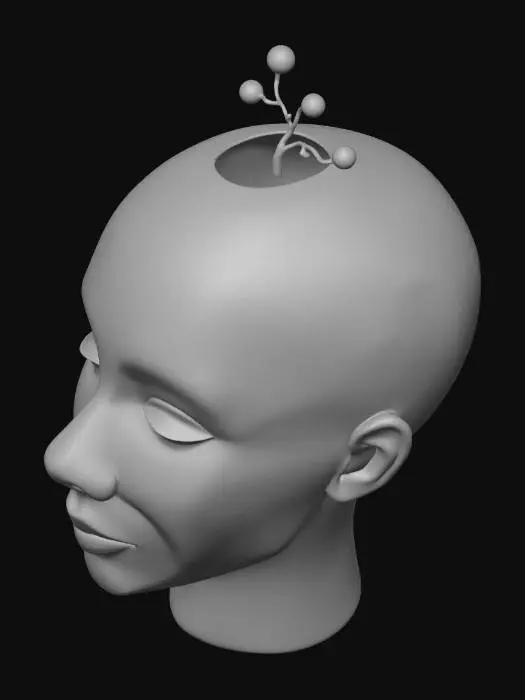 3D model for Mind Garden