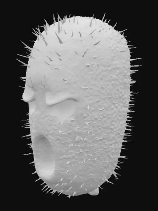 3D model for Cactus Expression