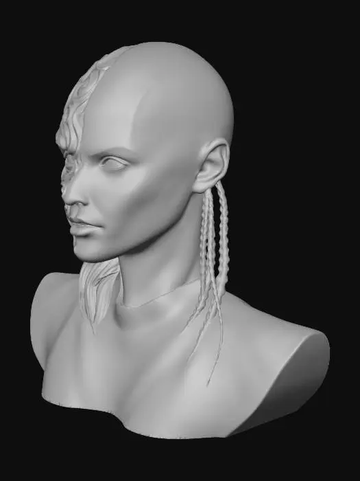 3D model for Split Identity