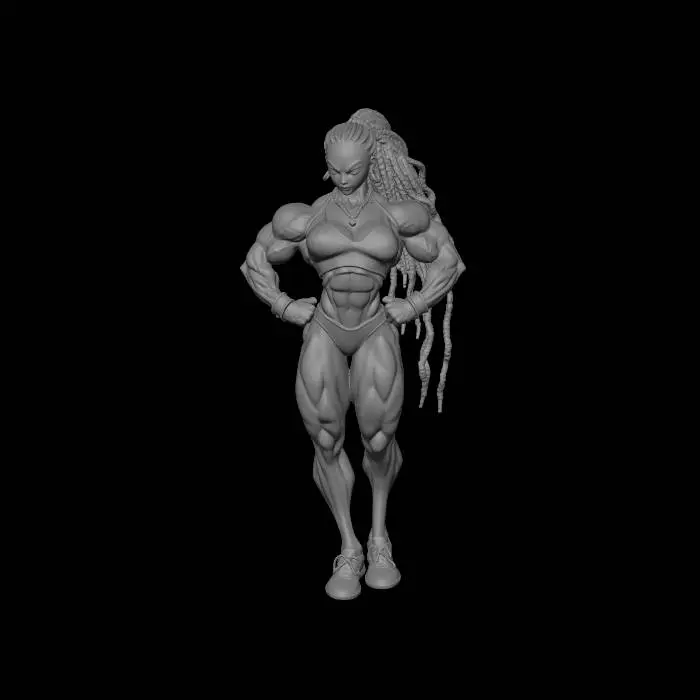 3D model for Braided Powerhouse