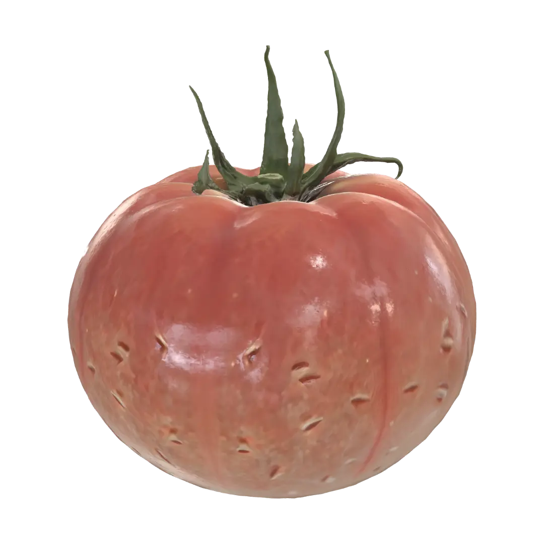 tomato