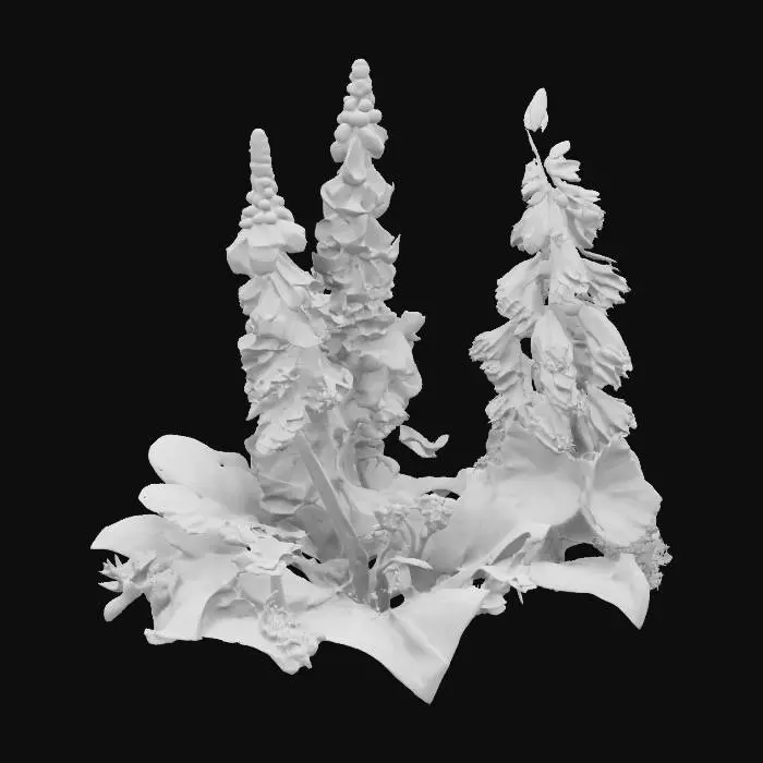 3D model for #garden#, Larkspur, delphinium, monkshood, fantasy plant.