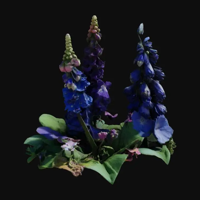3D model for #garden#, Larkspur, delphinium, monkshood, fantasy plant.