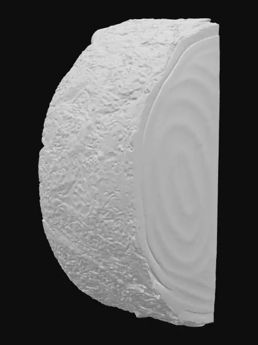 3D model for Wooden Harmony