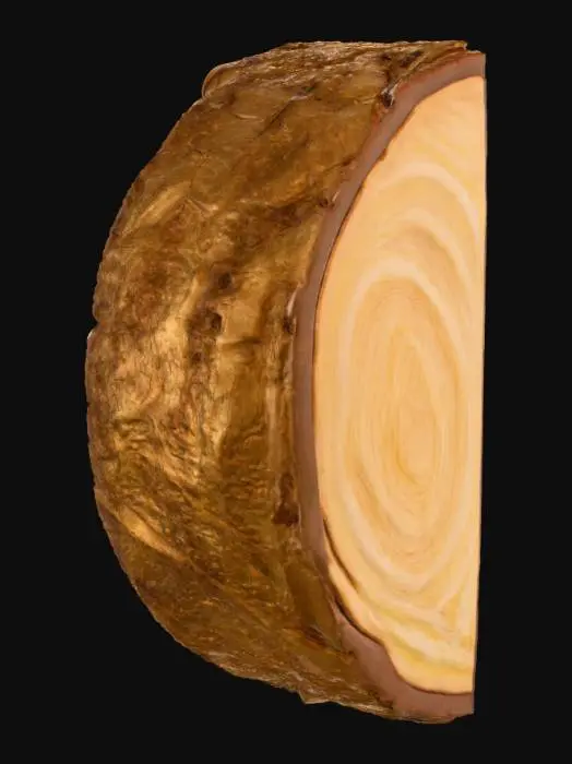 3D model for Wooden Harmony