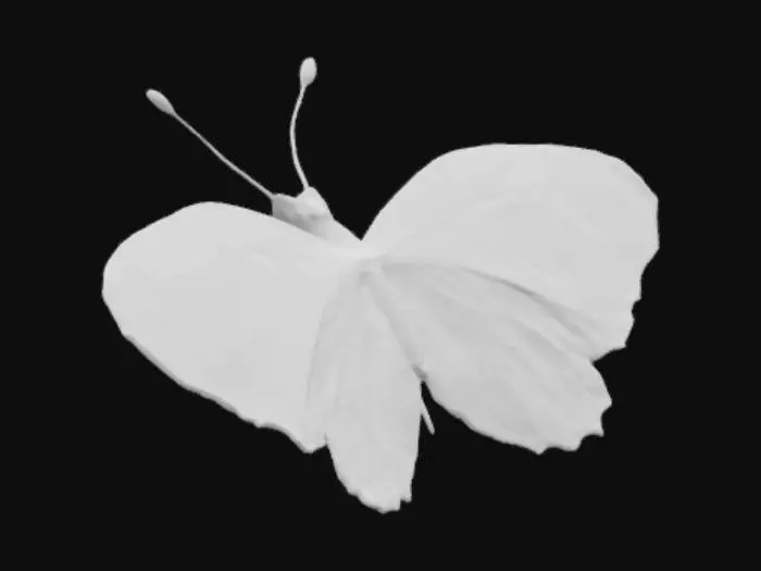 3D model for Generate a butterfly
