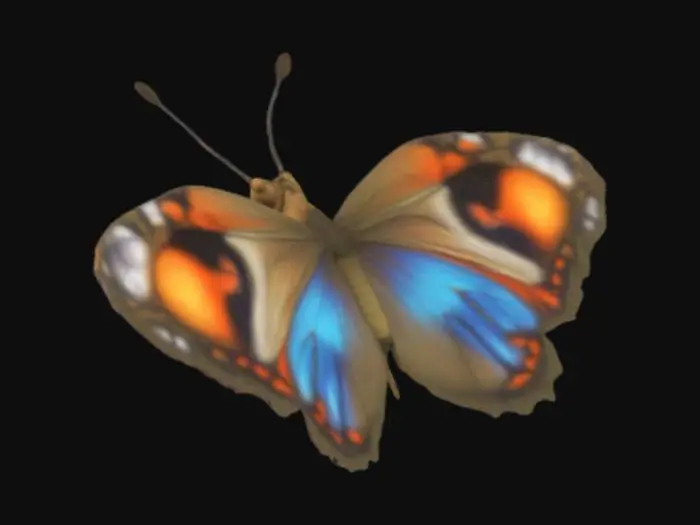 3D model for Generate a butterfly
