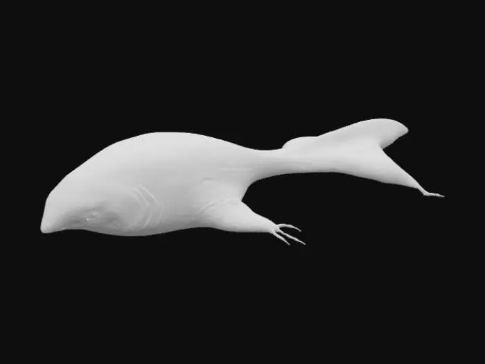 3D model for Mole Whale Bloop
