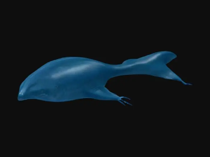3D model for Mole Whale Bloop
