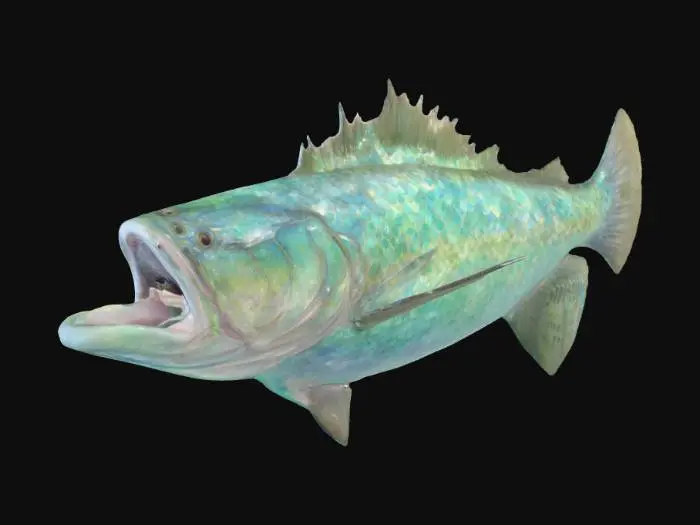 3D model for The Great fish (Jonah and the Whale)