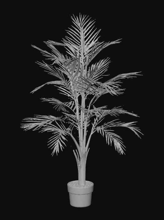 3D model for Palm in Pot