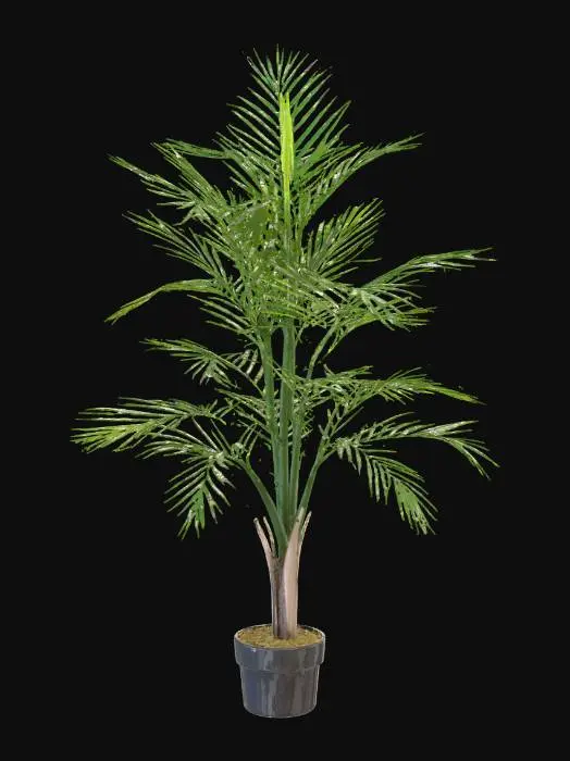 3D model for Palm in Pot