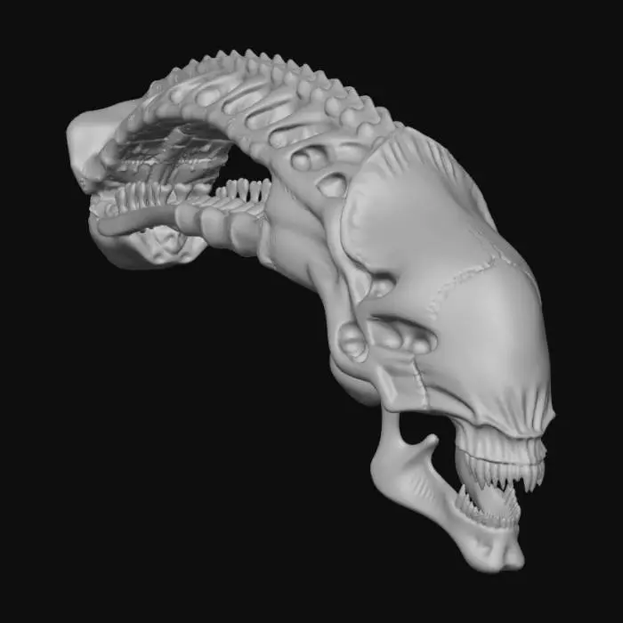 3D model for Alien Skull Design
