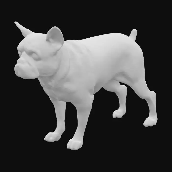 3D model for French Bulldog Pose