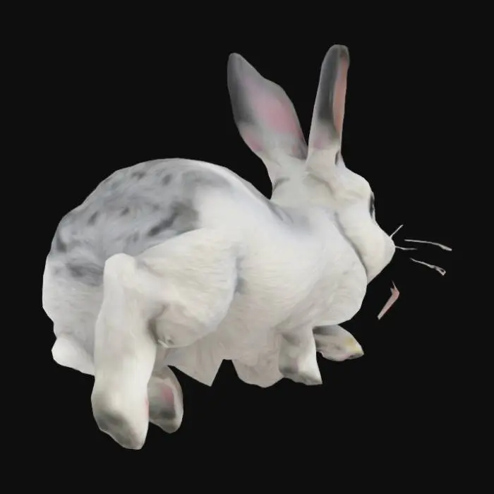 3D model for Bouncing Bunny