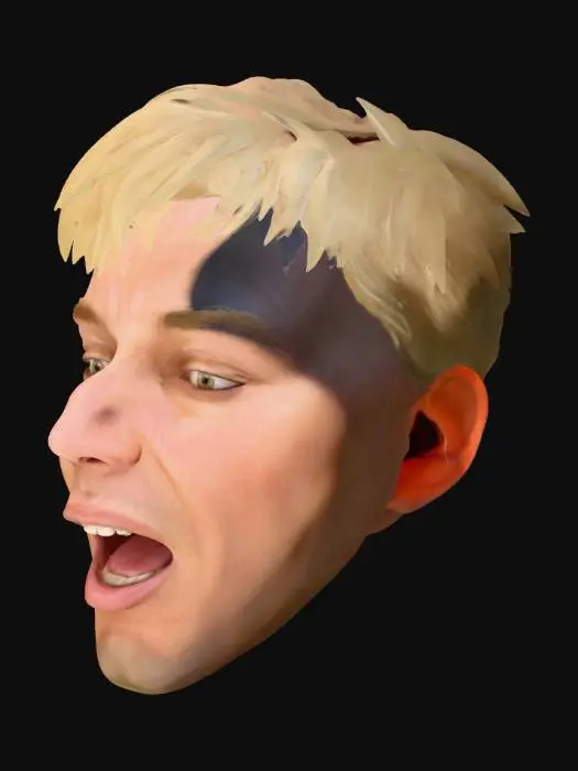 3D model for Singing Moment