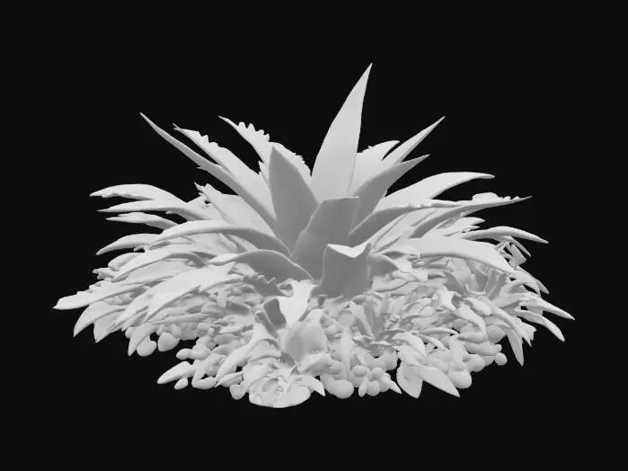 3D model for Botanical Harmony