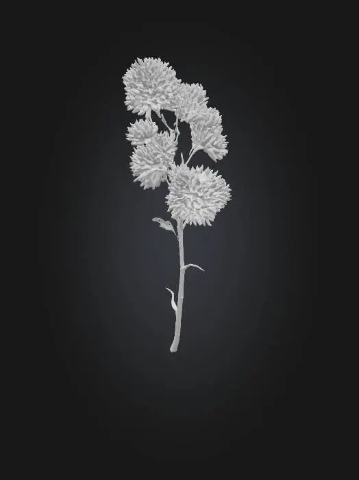 3D model for Pink Clover Elegance