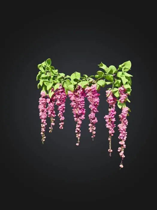 3D model for Pink Cascade