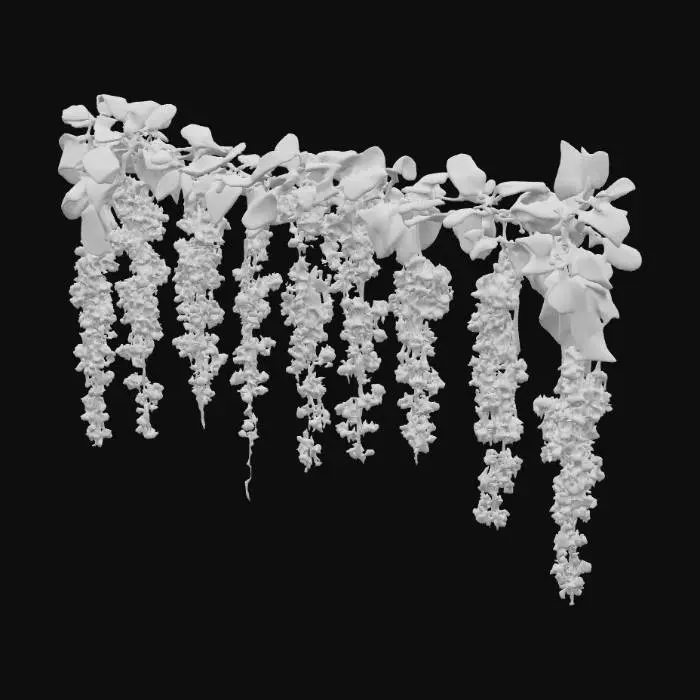 3D model for Pink Cascade