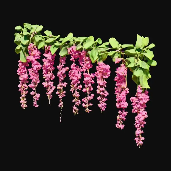 3D model for Pink Cascade