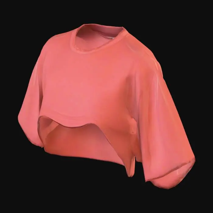 3D model for Red Crop Top