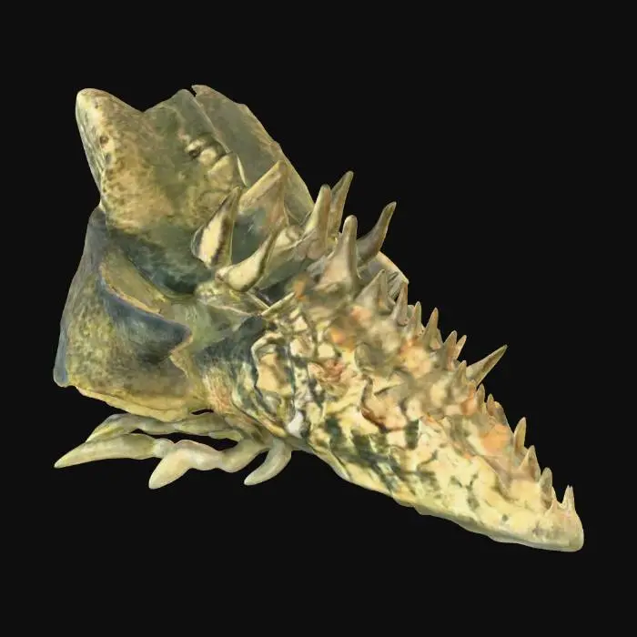 3D model for Spiked Leviathan