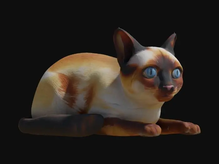 3D model for siam house cat realistic