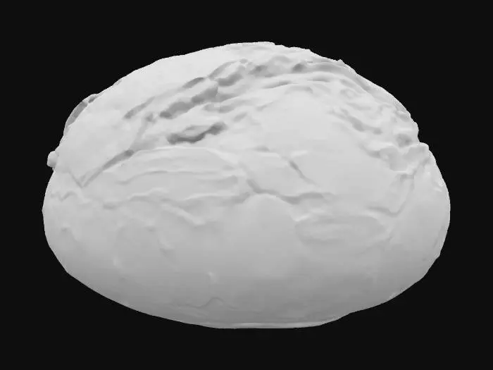 3D model for Bread