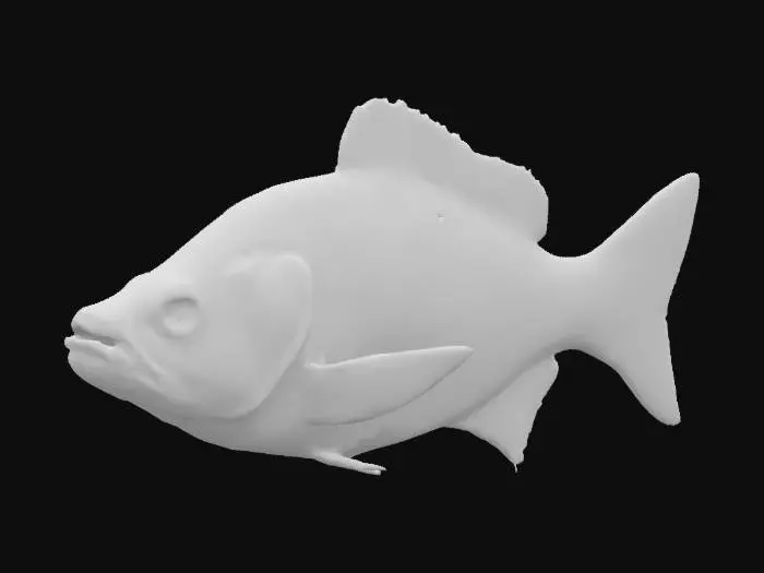 3D model for A single fish, Highly Detailed, Ultra Realistic