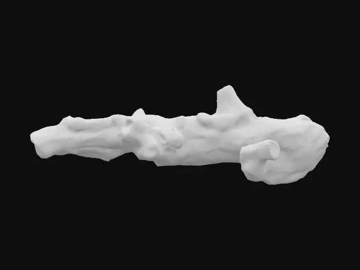 3D model for one thick branch