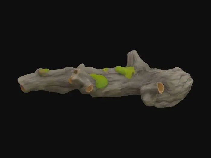 3D model for one thick branch
