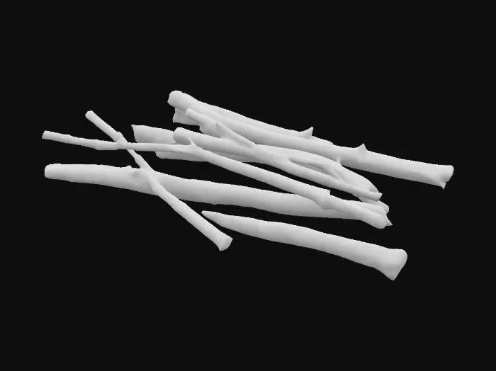 3D model for Bundle of Sticks