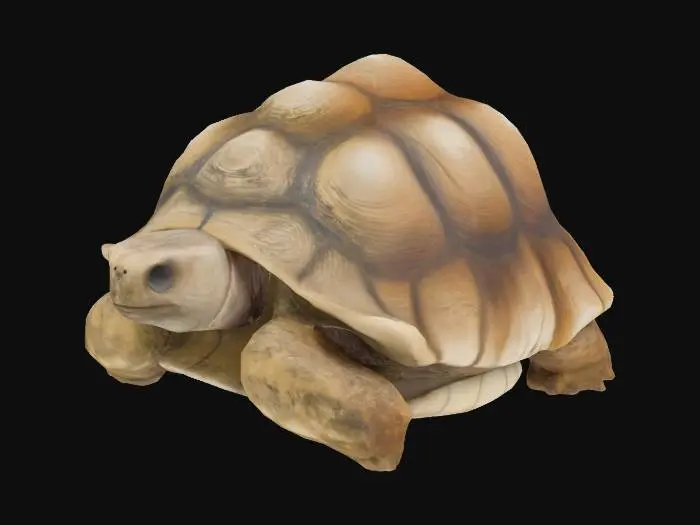 3D model for Turtle Sculpture Elegance