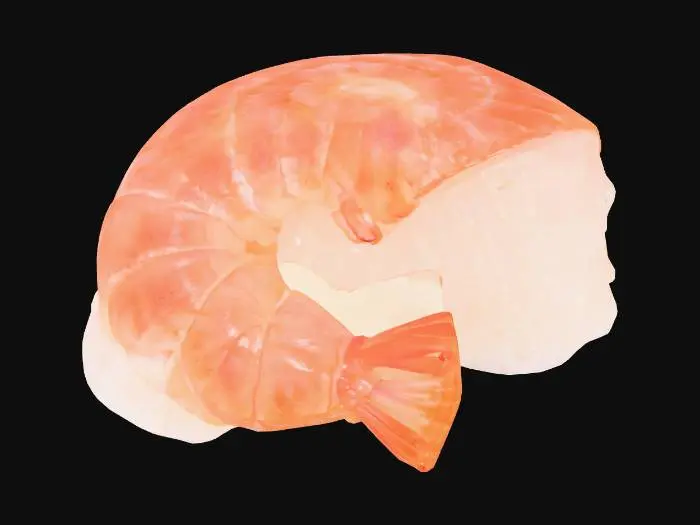 3D model for Shrimp Sushi Illusion