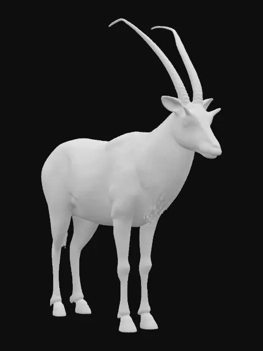 3D model for Desert oryx realistic