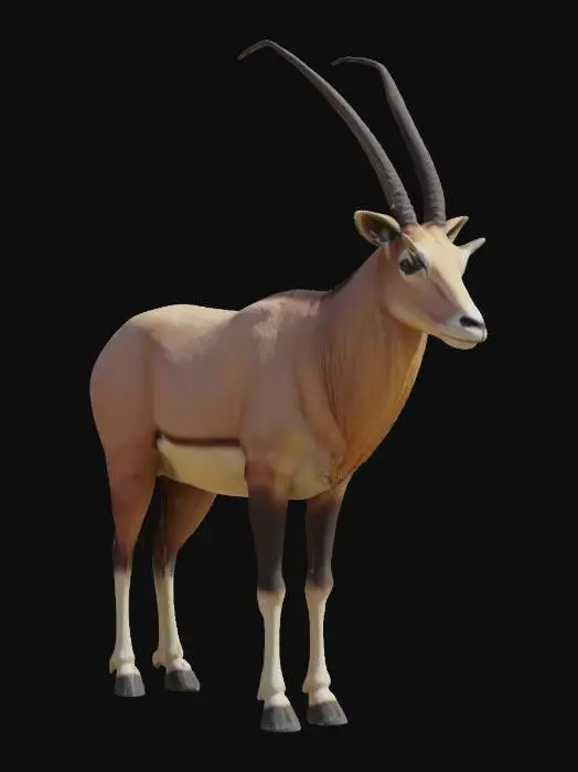 3D model for Desert oryx realistic