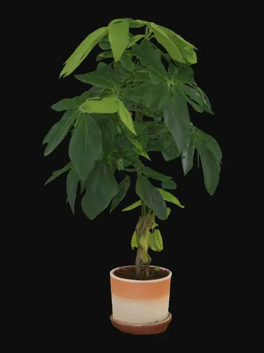 3D model for Potted Serenity