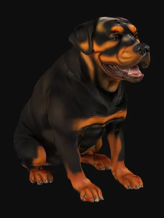 3D model for hyper realistic rottweiler sitting and smiling, realistic details and textures, the rottweiler is lokking happy