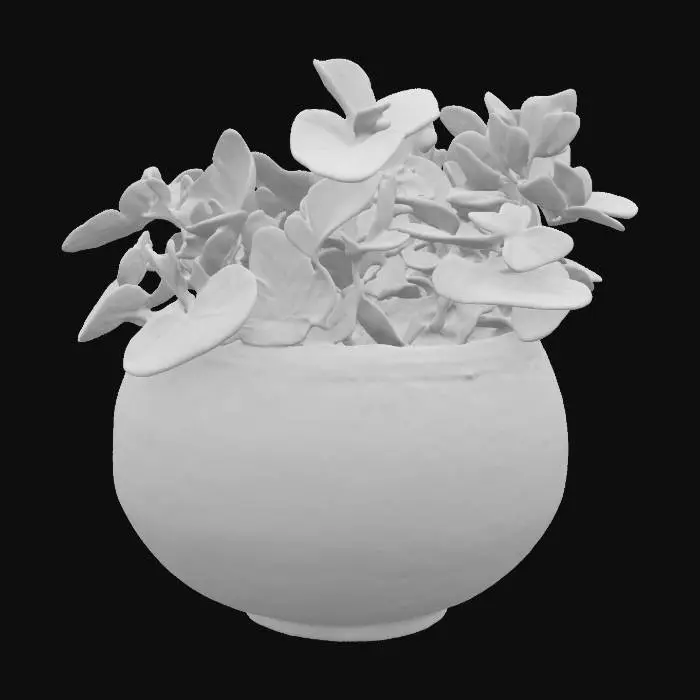 3D model for Sage plant