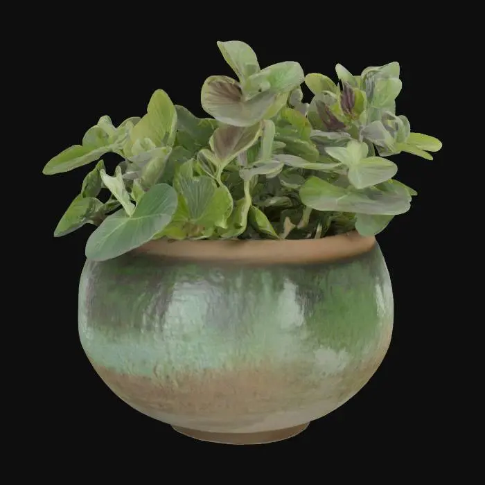 3D model for Sage plant
