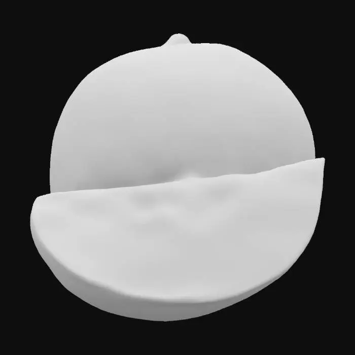 3D model for Melon Delight