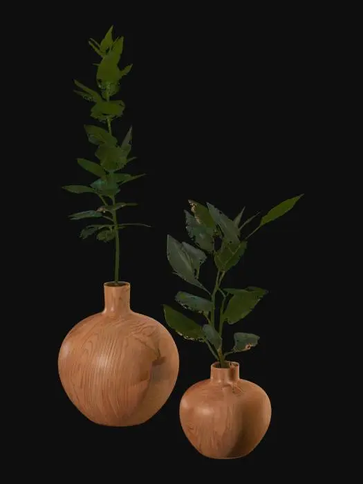 3D model for Harmony in Simplicity